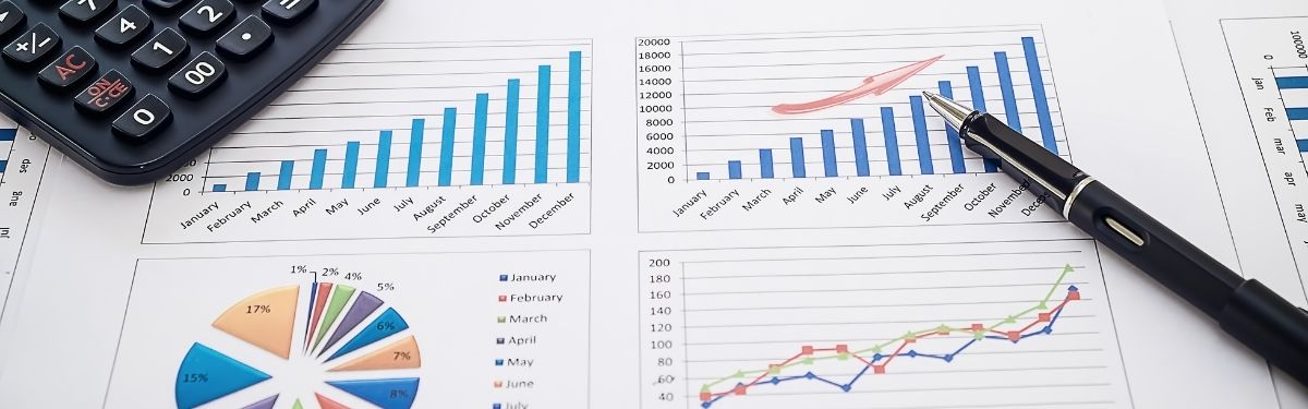 ERP Bağımsız Bütçe Yönetimi